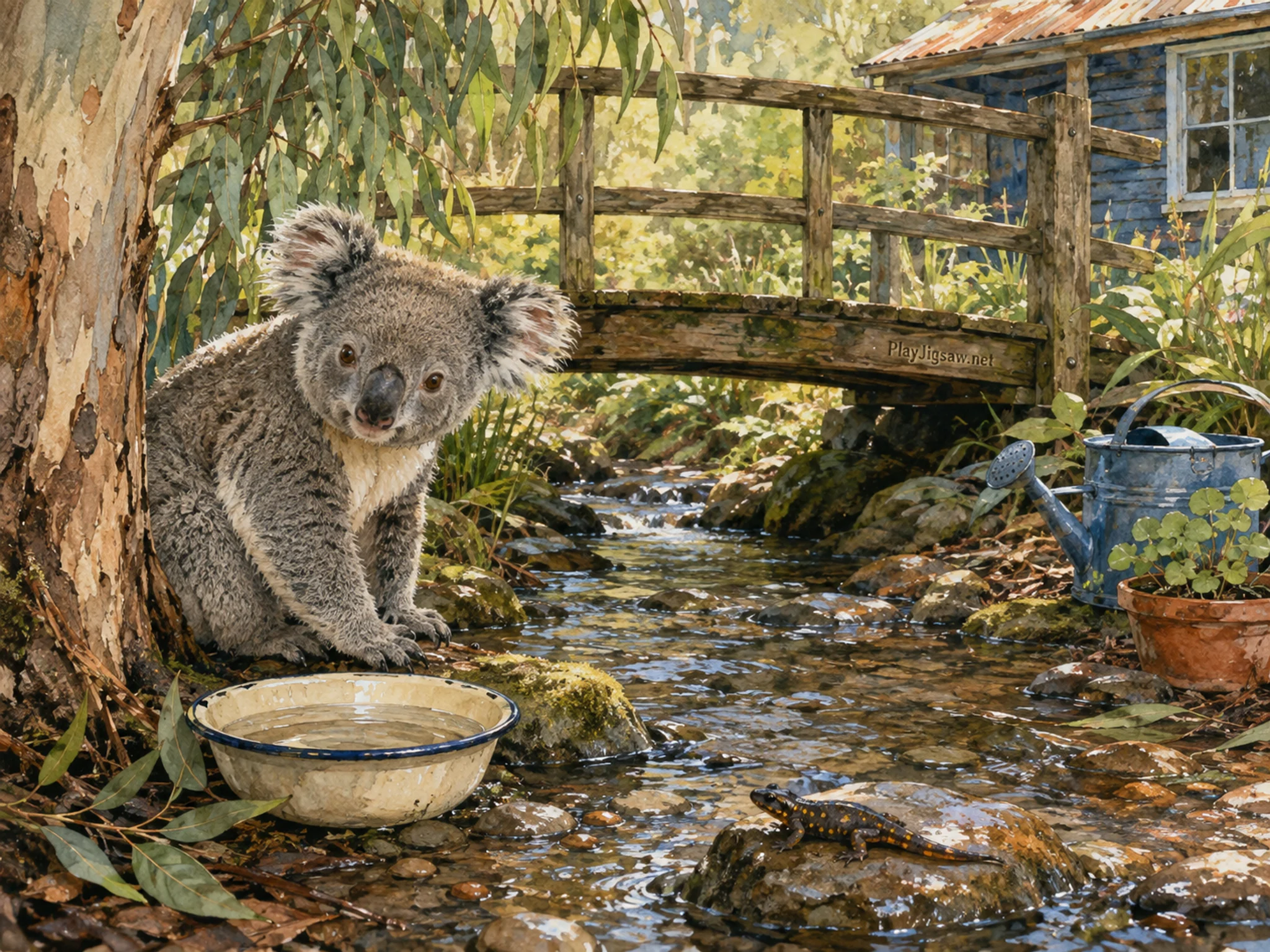 eucalyptus koala appearing naturally beside a small enamel field bowl in a shaded garden creek with a salamander and wet stones, with familiar objects and sun after a brief rain.