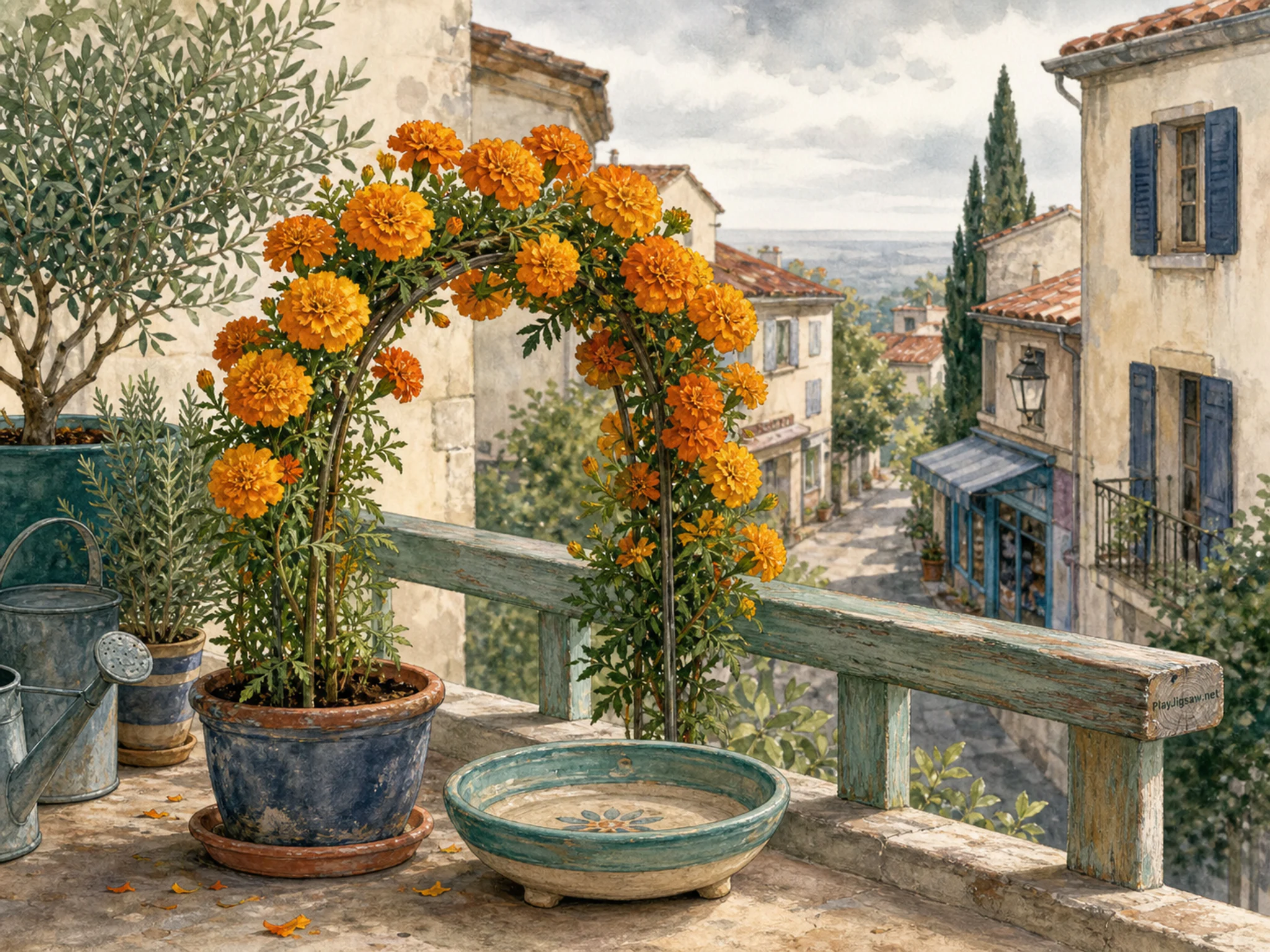 marigold arch arranged naturally beside a ceramic plant saucer in a small olive-and-herb terrace above a residential lane, with familiar objects and soft overcast afternoon.
